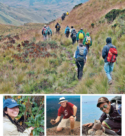 As students descended from the higher altitudes in Cayambe Coca Reserve, the temperature and the vegetation changed. Dafna Charles ’13 (left) noticed the unusual bud and mucous on Rumex tolimensis, togro. During a hike, near Volcan Sierra Negra, Galapagos, Chris Kelly ’13 (middle) examines basalt altered by fumarolic activity, and Tyler Germanoski ’12 takes a close look at an unfazed Galapagos marine iguana.