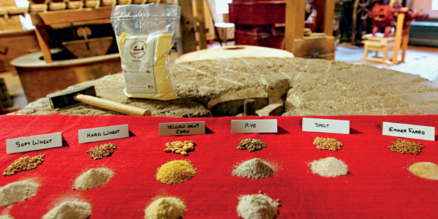 grains-table