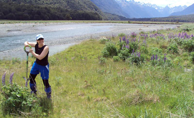 Working in the Eglinton Valley, New Zealand