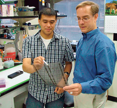 Eric Gapud (left), a Washington University student, and Barry Sleckman study broken DNA strands.