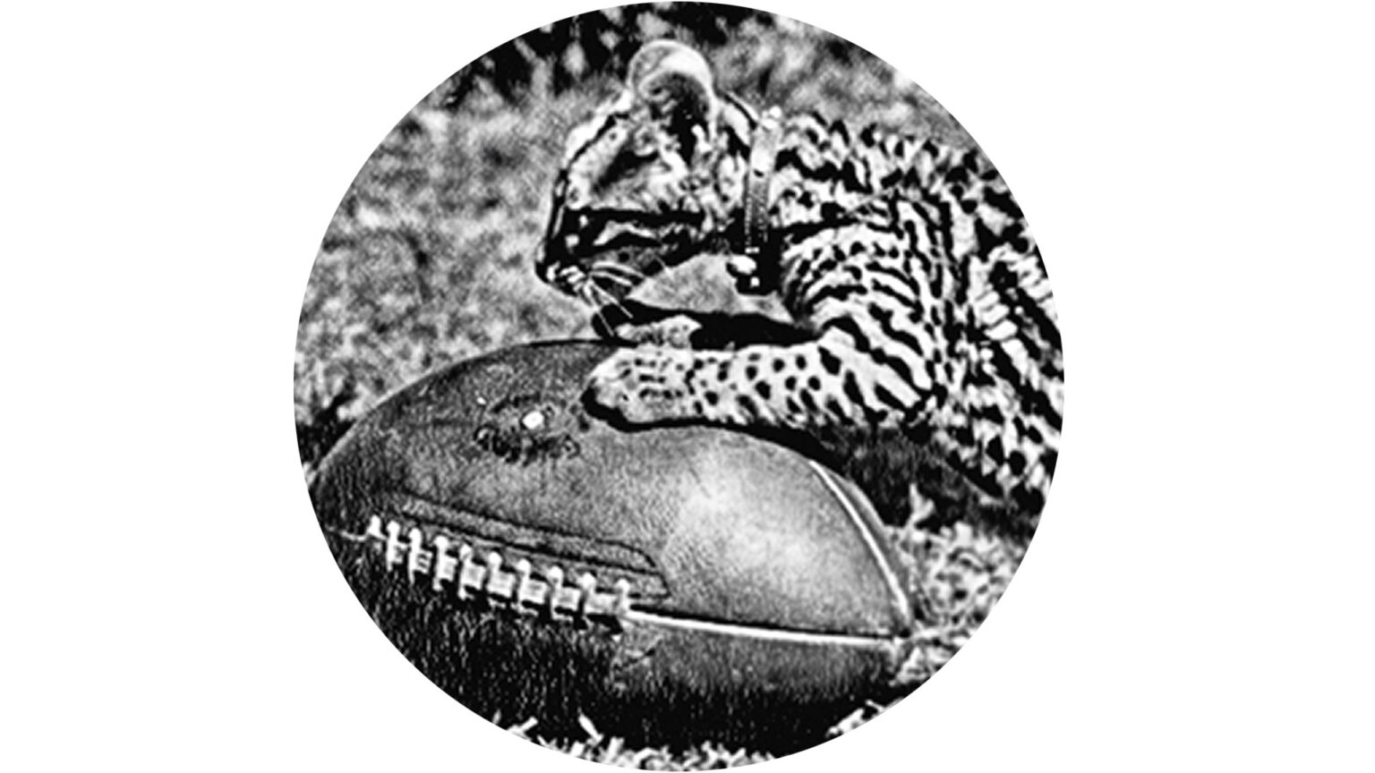 Duffield Leopard A Leopard’s legacy - Lafayette - The alumni magazine