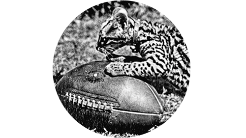 leopard-cub.png